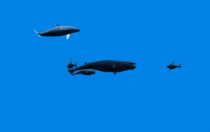 atlantis003