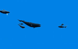atlantis004